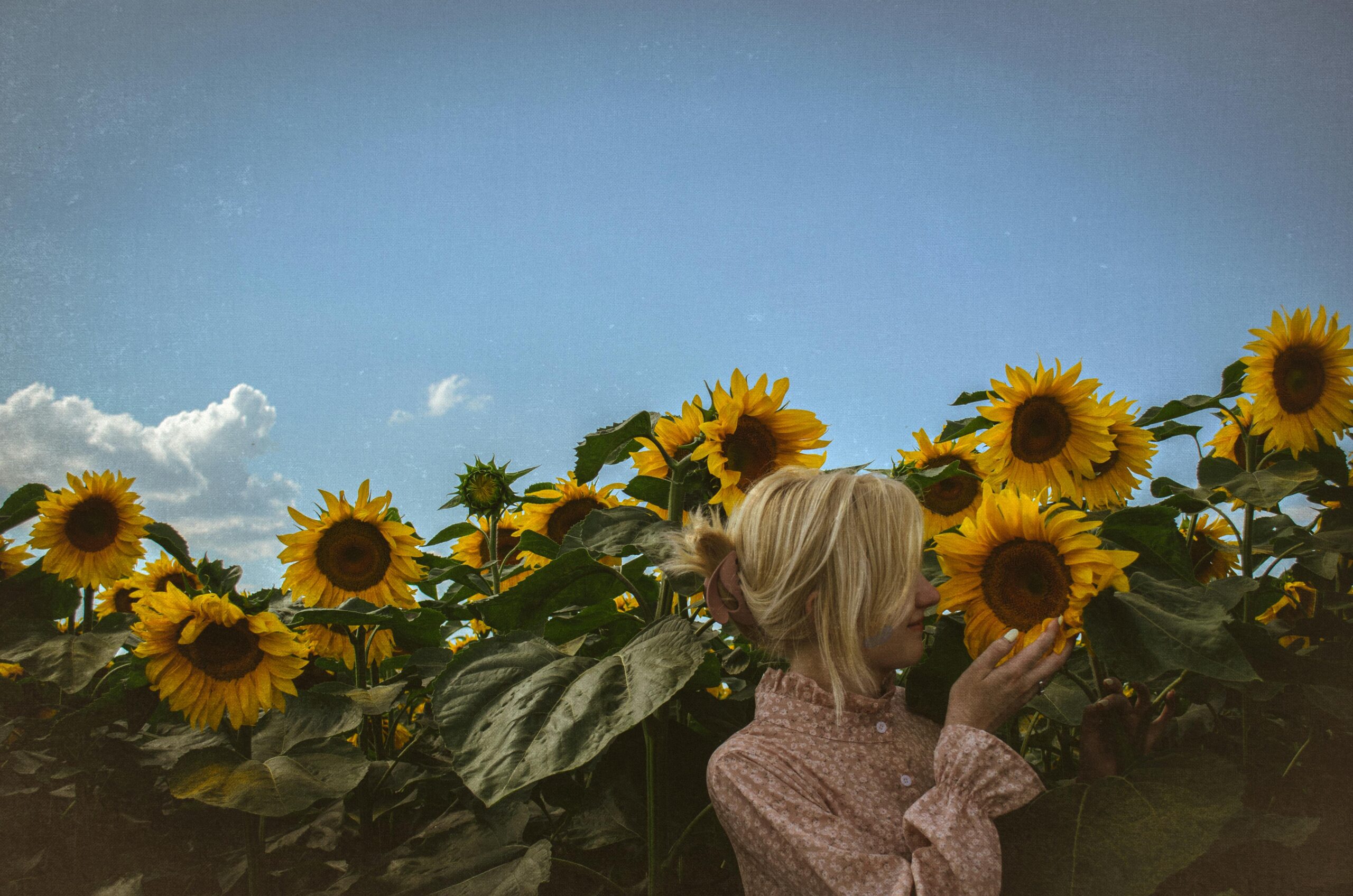 A person in a patterned blouse holds a sunflower close to their face in a field of sunflowers under a blue sky.