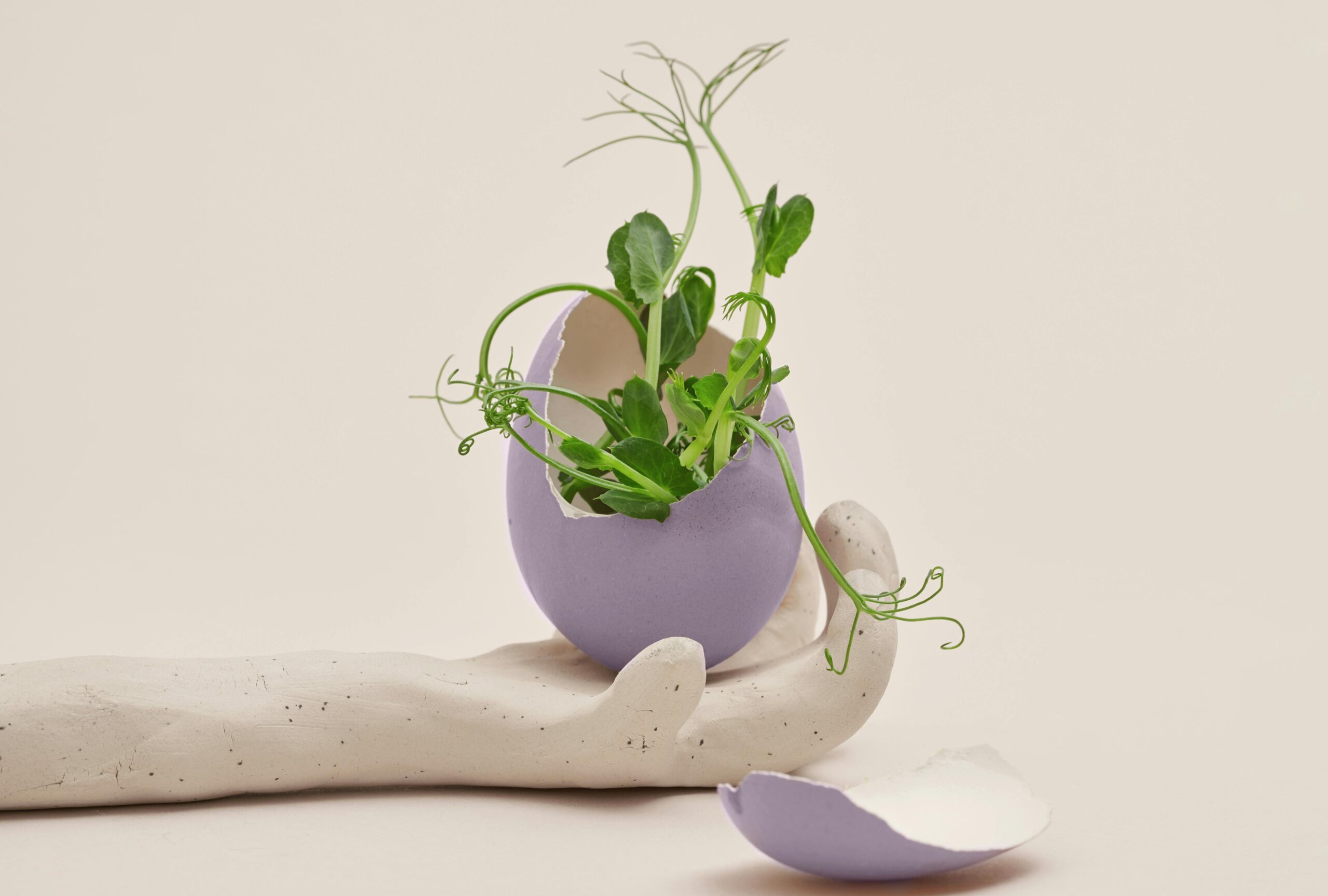 A delicate clay hand cradles a cracked lavender eggshell with green seedlings sprouting from within, symbolizing resilience and new growth emerging from fragility.