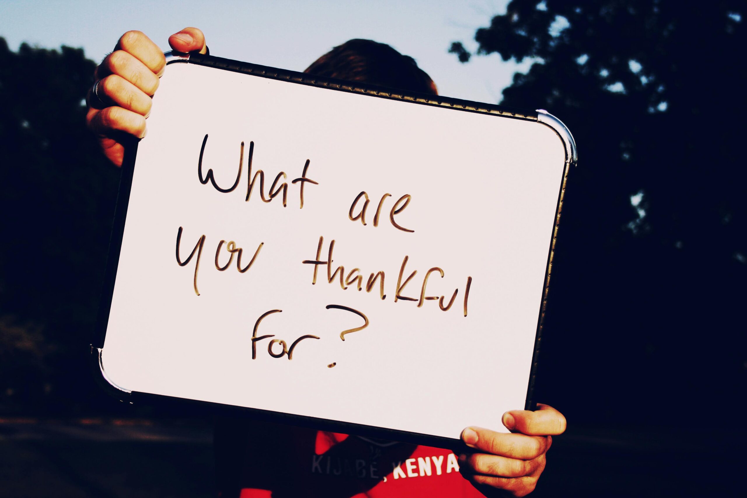 A person holds up a whiteboard with handwritten text that reads “What are you thankful for?” against an outdoor background with trees and warm lighting. The person’s face is hidden behind the board.