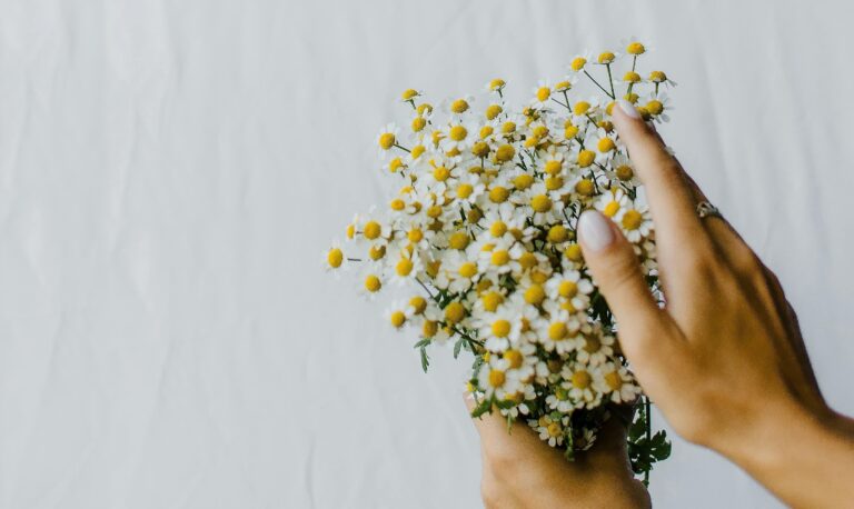 Hands gently holding a small bouquet of white daisies with yellow centers against a soft, light background.