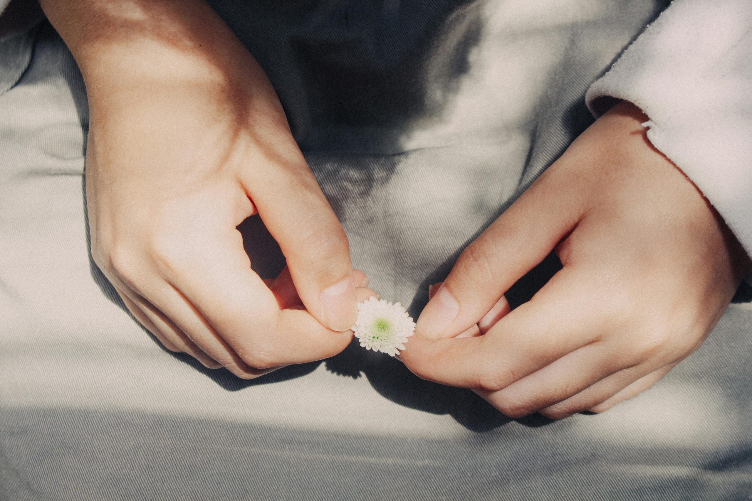 Two hands gently holding a small white flower, conveying care and tenderness.